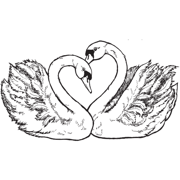 Лебедь рисунок