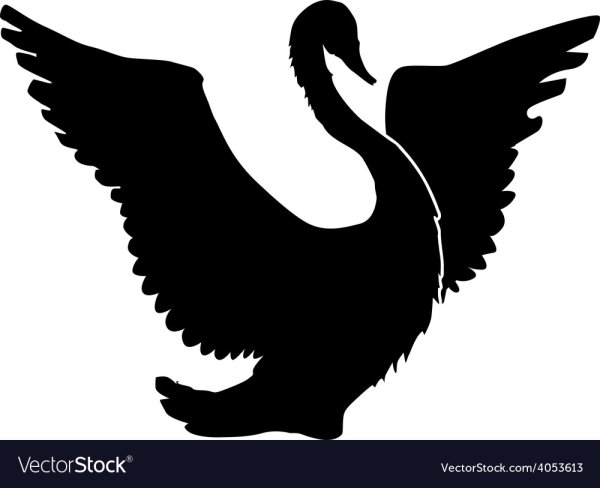 Лебедь силуэт для вырезания