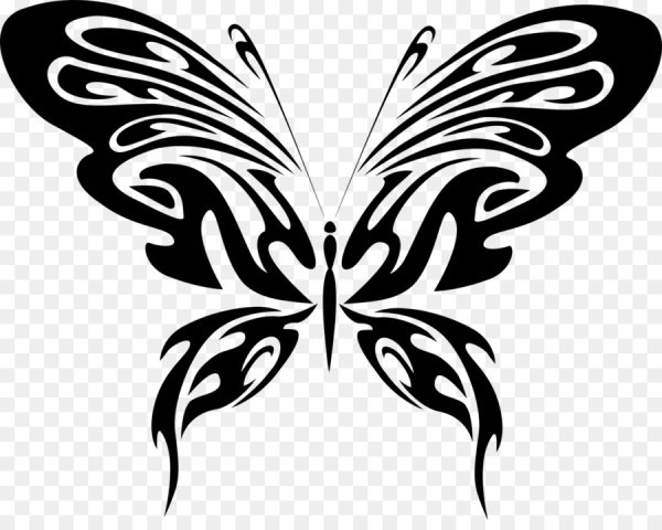 Векторные бабочки