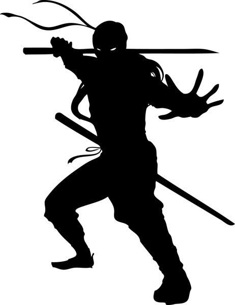 Попенко тень ниндзя