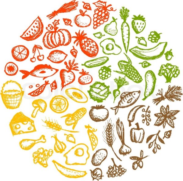 Векторные изображения продуктов питания