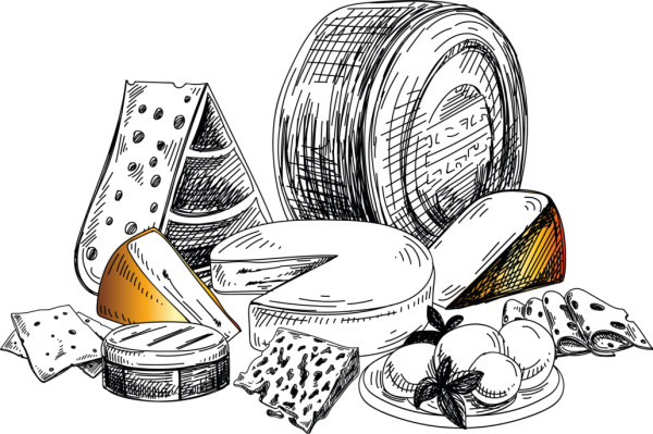 Сыр вектор черно белый