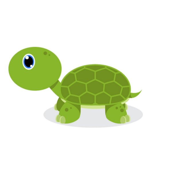 Маленькая черепашка