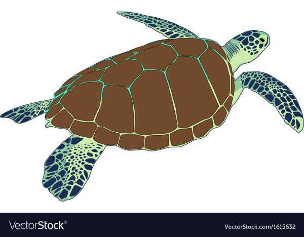 Черепаха Векторсток