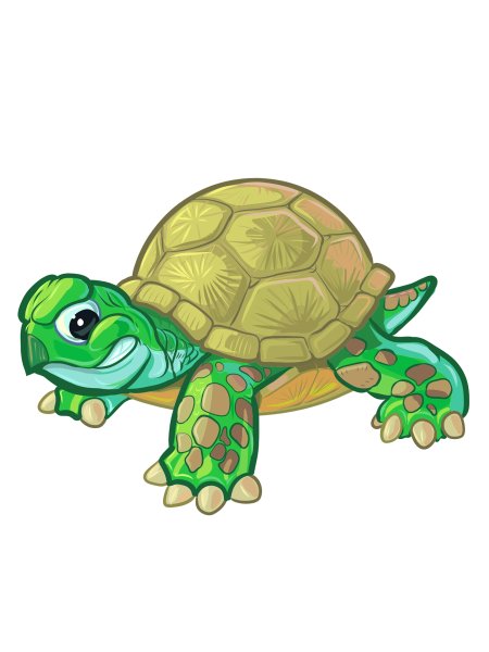 Черепаха рисунок