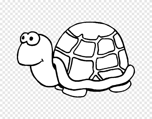 Детские рисунки черепах