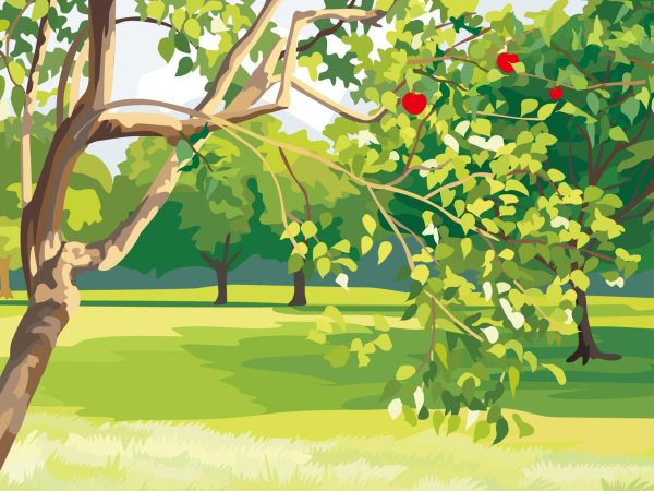 Сад с фруктовыми деревьями для детей