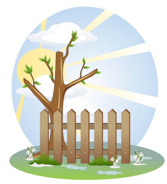 Деревья весной для дошкольников