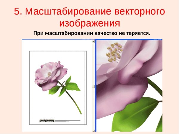 Масштабирование векторного изображения