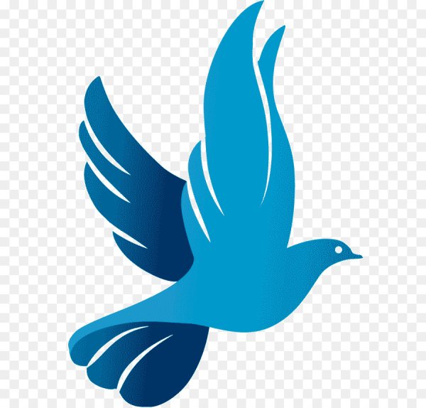 Символ птицы