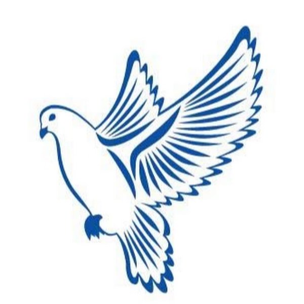 Голубь с веточкой в клюве