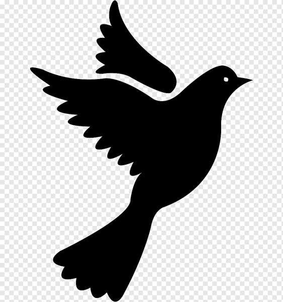 Силуэт птицы