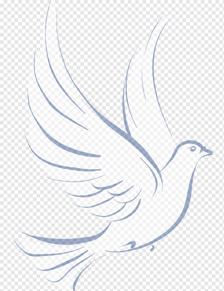 Векторный голубь