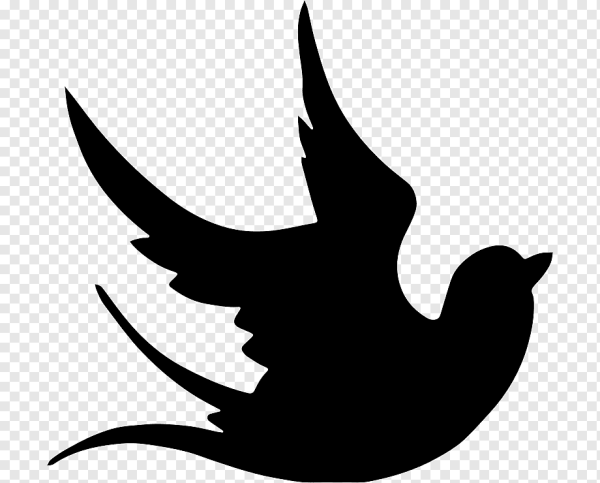 Тень голубя