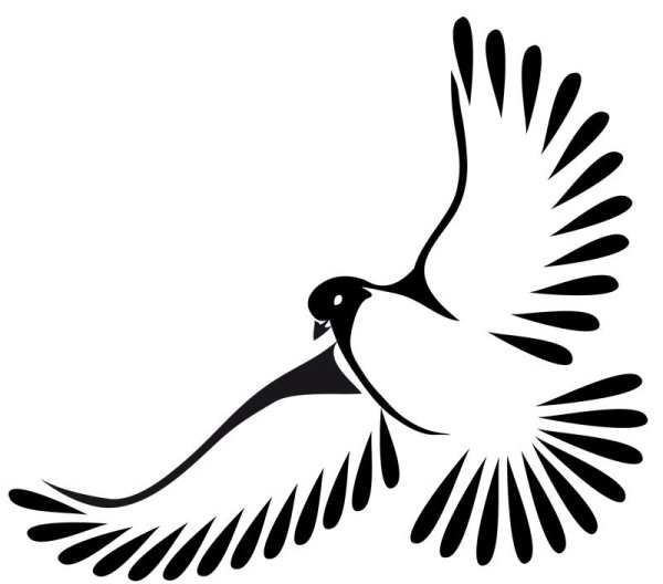 Силуэт голубя в полете