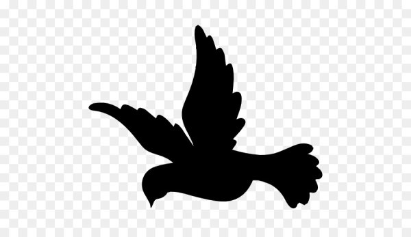 Силуэт голубя в полете