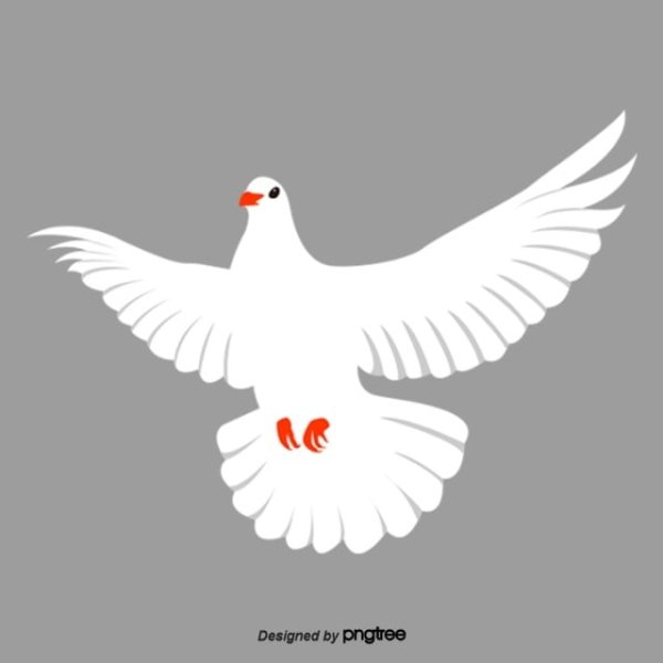 Голубь вектор
