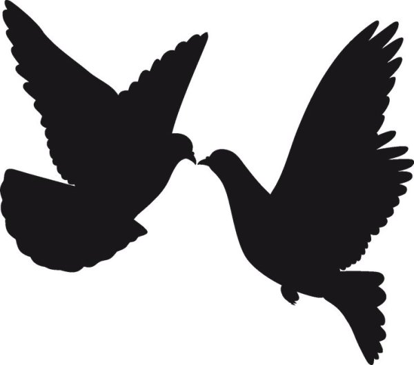 Трафареты птиц для декора