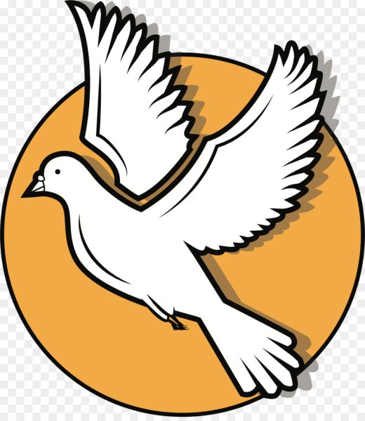 Птица символ мира