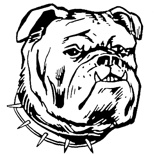 Английский бульдог