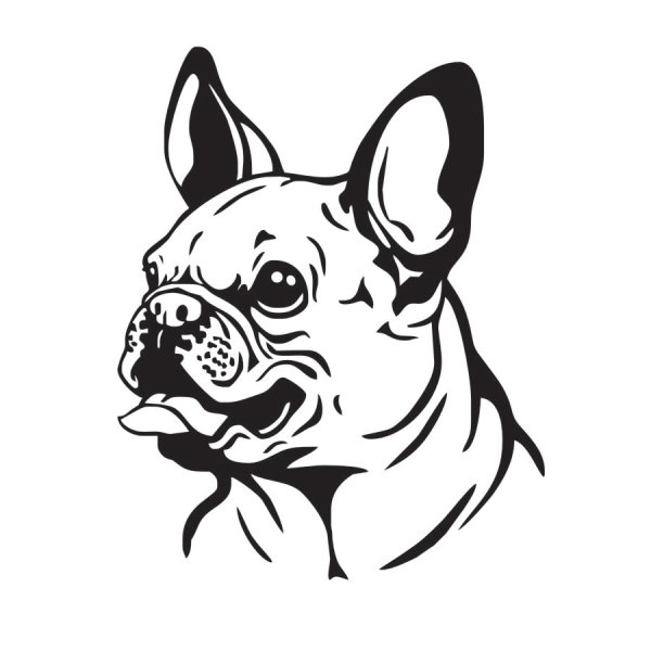 Французский бульдог