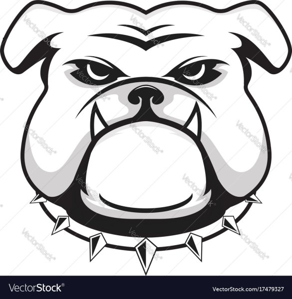 Злой бульдог вектор