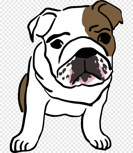 Морда бульдога рисунок