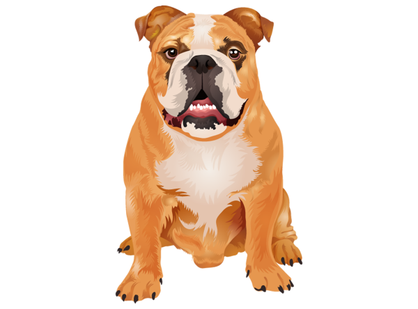 Собака иллюстрация