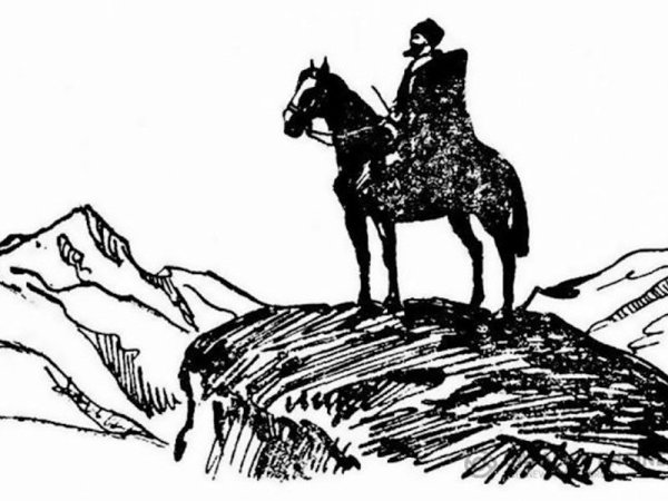 Горец рисунок