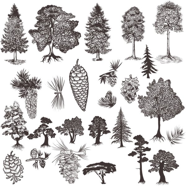 Лес силуэт эскиз