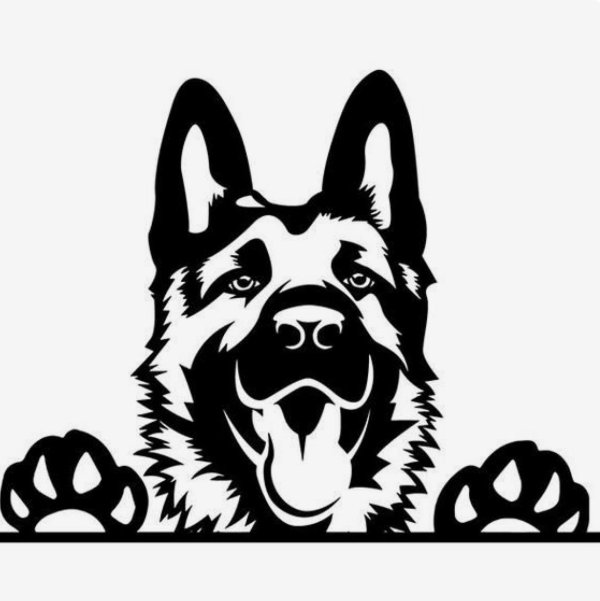 Восточно-европейская овчарка Выжигание