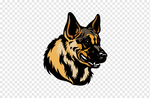 Немецкая овчарка