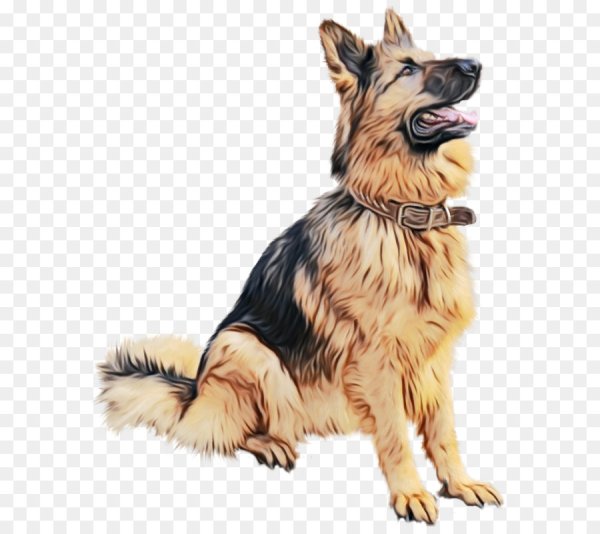 Овчарка векторный клипарт