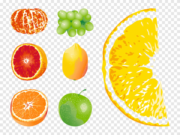 Фрукты в разрезе рисование