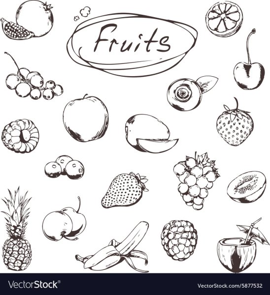 Ягоды скетч