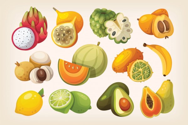 Тропические фрукты вектор