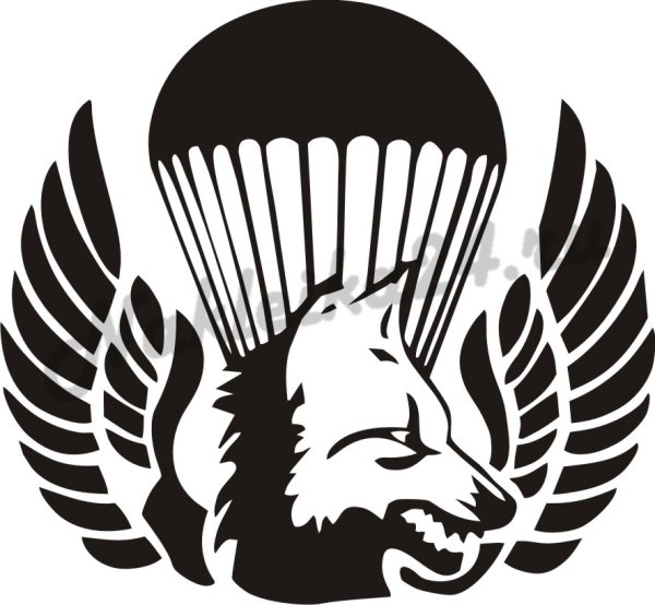 45 Полк спецназа ВДВ волк