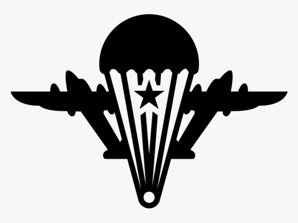 Трафарет ВДВ