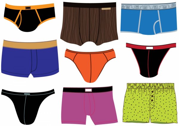 Мужские трусы вектор