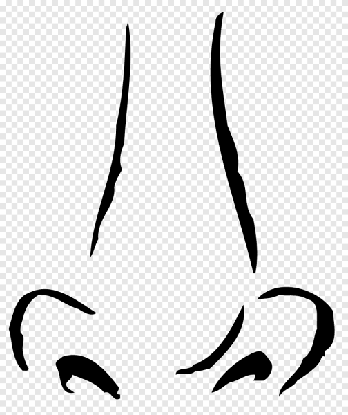 Векторный нос