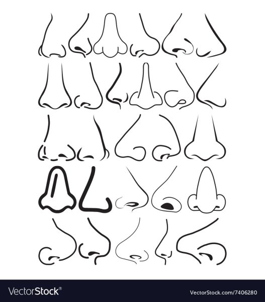 Векторный нос