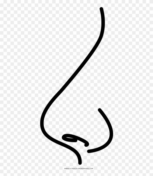 Векторный нос