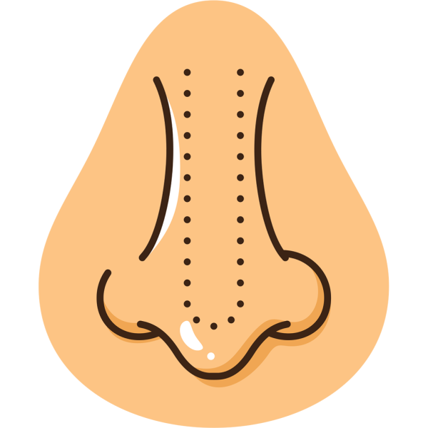 Векторный нос