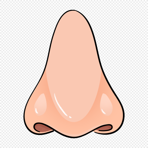 Нос человека