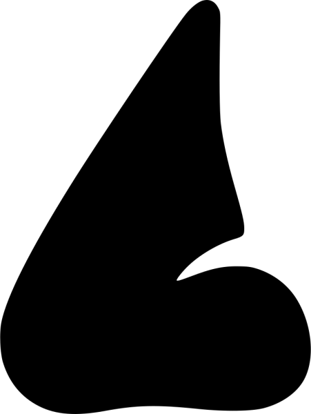 Пиктограмма нос