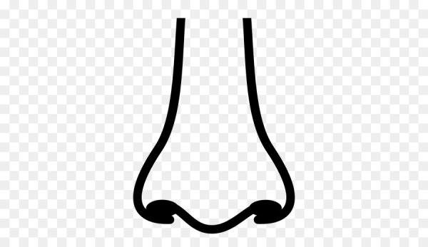 Нос раскраска