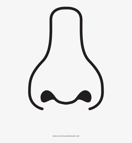 Нос для раскрашивания