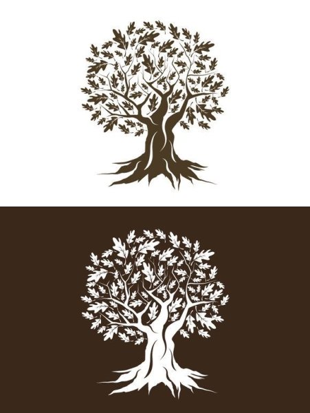 Дуб логотип