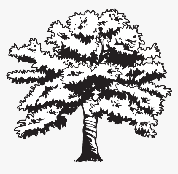 Дерево дуб вектор