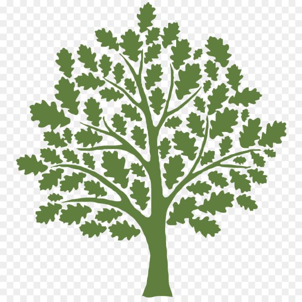 Дерево в растре